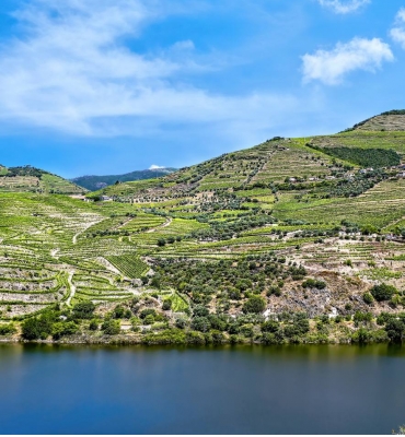 5 Of The Best Wineries In Douro Valley Portugal You Should Visit